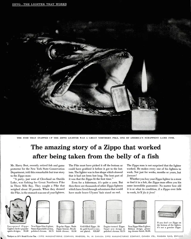 Excerpt image